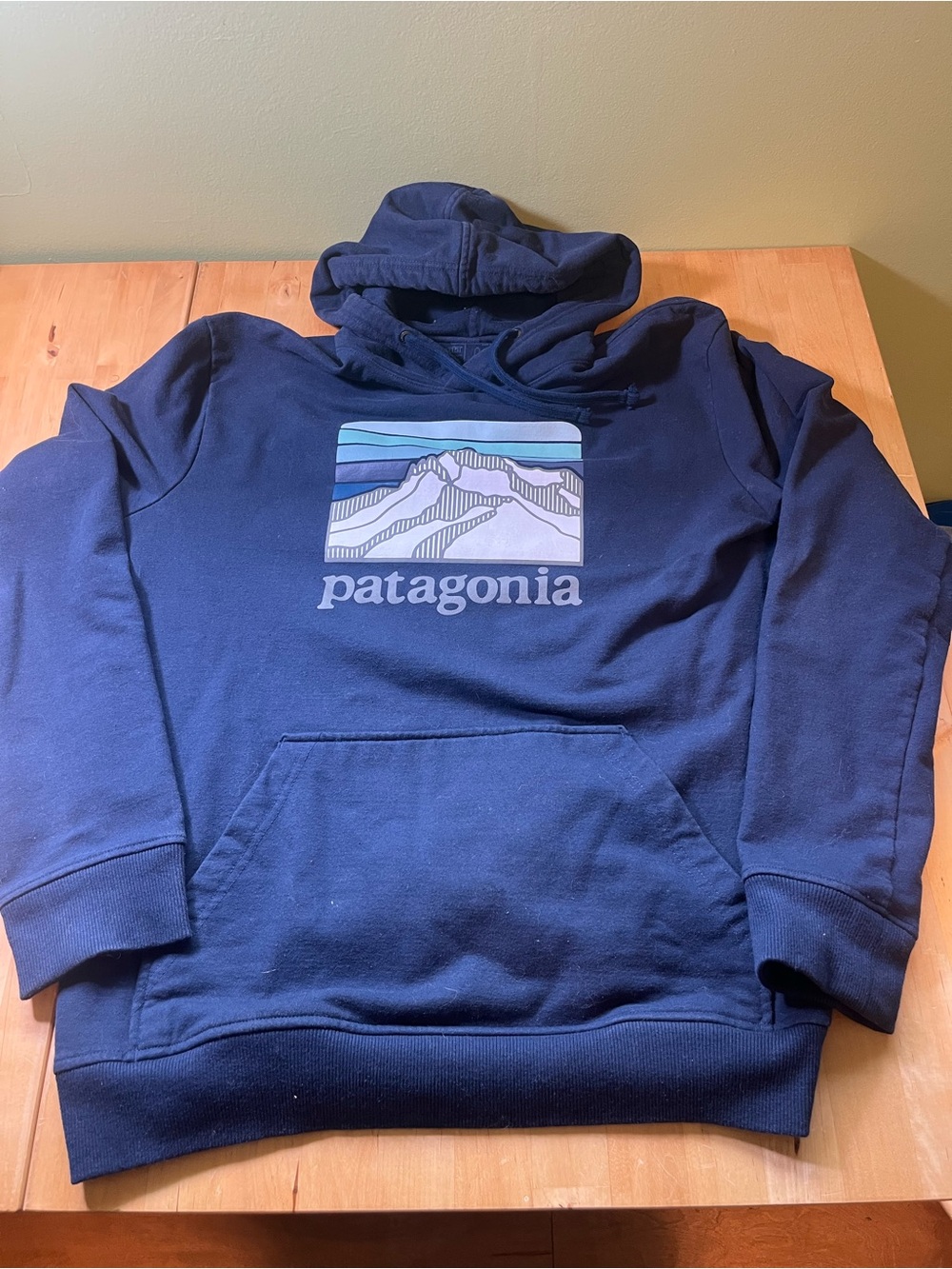 Patagonia Navy Mountain Logo Hoodie